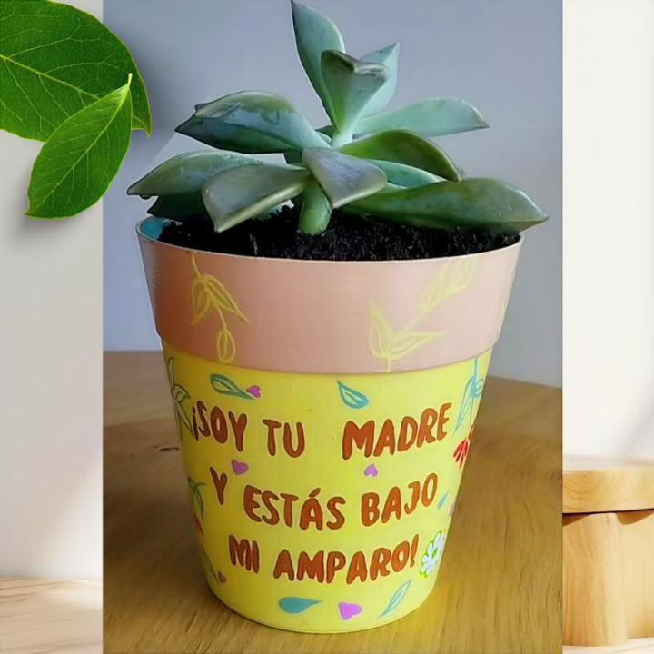 Maceta regalo suculenta exterior-interior