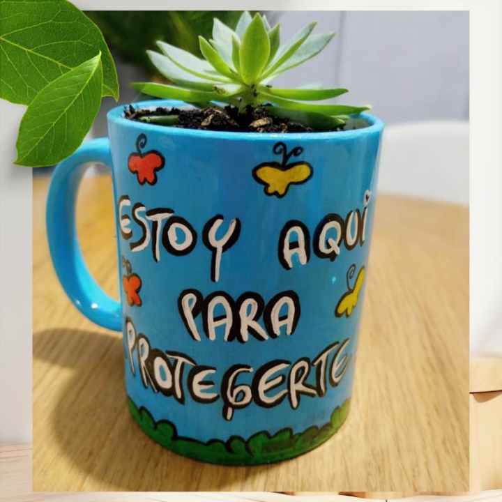 Planta personalizada suculenta