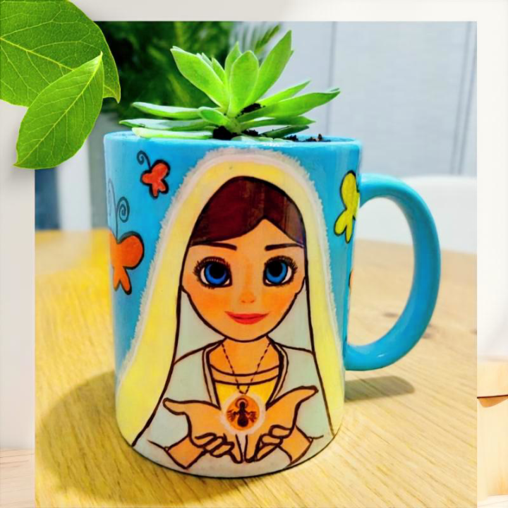 Planta personalizada suculenta